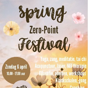 Spring Festival 2025