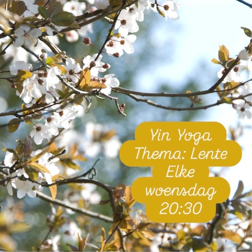 Lieke_Namayh_lente Upcoming events - Zero-point