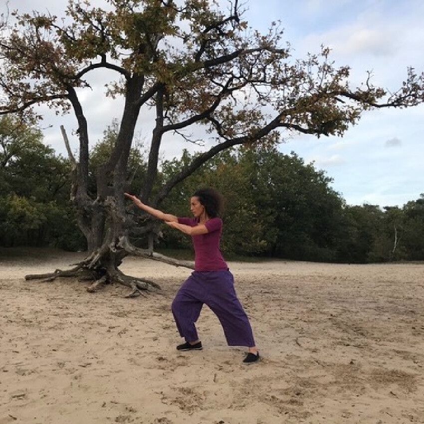 Qi Gong geeft je basis voor Tai Chi